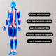 Gel calmante con Harpagophytum (garra del diablo): para las articulaciones, la inflamación crónica, la artrosis, el dolor de espalda y la tensión muscular. ¡2x1!