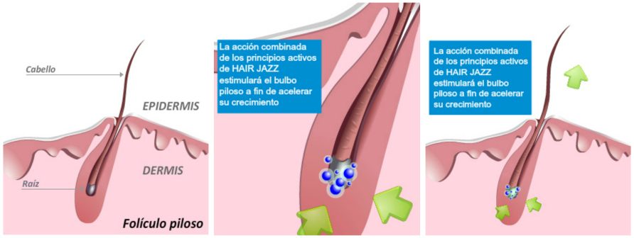 El medio de los cabellos sobre la persona de kitaya